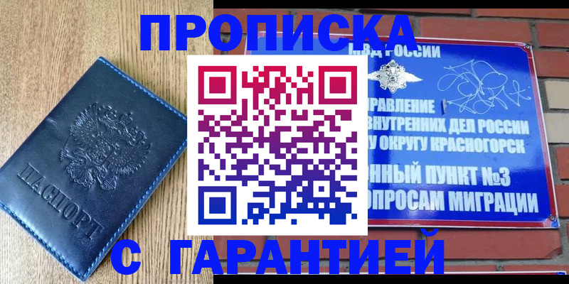регистрация в Мурманске